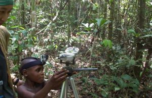 Finding one’s way in the rainforest cropped Finding ones way in the rainforest