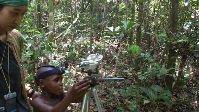 Finding one’s way in the rainforest cropped Finding ones way in the rainforest