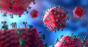 cropped HIV eliminated from the genomes of living animals