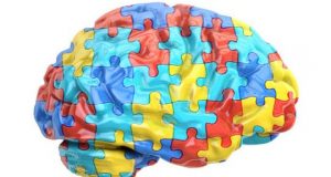 cropped High levels of estrogen in the womb linked to autism