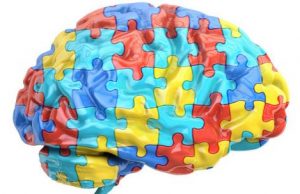 High levels of estrogen in the womb linked to autism cropped High levels of estrogen in the womb linked to autism