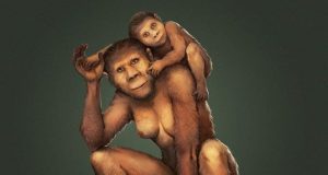 cropped Maternal secrets of our earliest ancestors unlocked