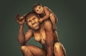 Maternal secrets of our earliest ancestors unlocked cropped Maternal secrets of our earliest ancestors unlocked