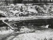 Megadrought caused mega biodiversity loss cropped Megadrought caused mega biodiversity loss