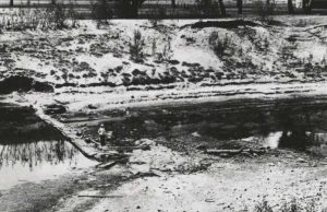 Megadrought caused mega biodiversity loss cropped Megadrought caused mega biodiversity loss