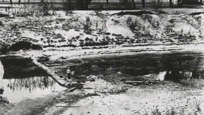 Megadrought caused mega biodiversity loss cropped Megadrought caused mega biodiversity loss