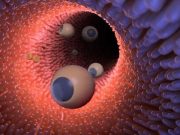 cropped Microrobots show promise for treating tumors