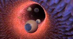 cropped Microrobots show promise for treating tumors