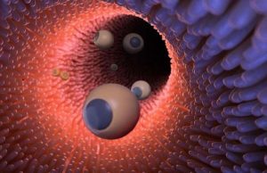 Microrobots show promise for treating tumors cropped Microrobots show promise for treating tumors