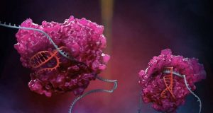 cropped New CRISPR platform expands RNA editing capabilities