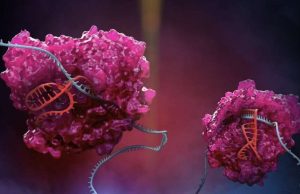 New CRISPR platform expands RNA editing capabilities cropped New CRISPR platform expands RNA editing capabilities