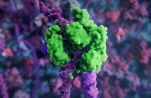 Novel nanoparticles deliver CRISPR gene editing tools into the cell with much higher efficiency cropped Novel nanoparticles deliver CRISPR gene editing tools into the cell with much higher efficiency