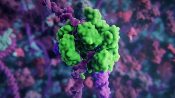 Novel nanoparticles deliver CRISPR gene editing tools into the cell with much higher efficiency cropped Novel nanoparticles deliver CRISPR gene editing tools into the cell with much higher efficiency