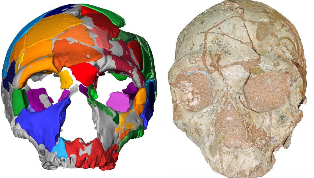 cropped Oldest remains outside Africa reset human migration clock