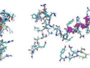 cropped Origin of life insight peptides can form without amino acids