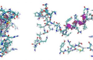Origin of life insight: peptides can form without amino acids cropped Origin of life insight peptides can form without amino acids