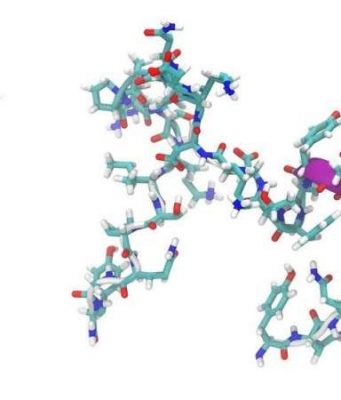 cropped Origin of life insight peptides can form without amino acids