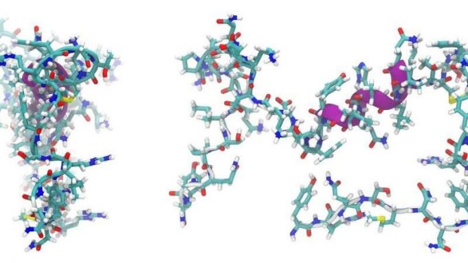 Origin of life insight: peptides can form without amino acids cropped Origin of life insight peptides can form without amino acids