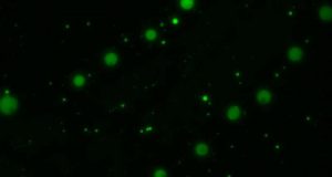 cropped Scientists discover new chemistry that may help explain the origins of cellular life