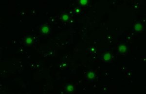 Scientists discover new chemistry that may help explain the origins of cellular life cropped Scientists discover new chemistry that may help explain the origins of cellular life