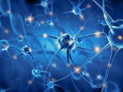 cropped Scientists stimulate neurons to induce particular perceptions in mices minds