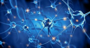 cropped Scientists stimulate neurons to induce particular perceptions in mices minds
