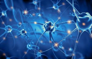 Scientists stimulate neurons to induce particular perceptions in mice’s minds cropped Scientists stimulate neurons to induce particular perceptions in mices minds