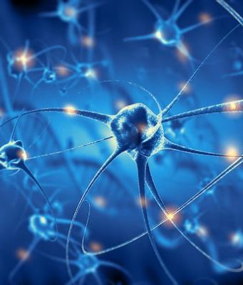 Scientists stimulate neurons to induce particular perceptions in mice’s minds cropped Scientists stimulate neurons to induce particular perceptions in mices minds