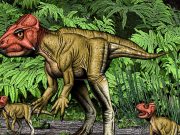 Small horned dinosaur from China, a Triceratops relative, walked on two feet cropped Small horned dinosaur from China a Triceratops relative walked on two feet