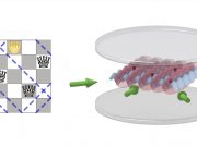 cropped Solving problems on a quantum chessboard