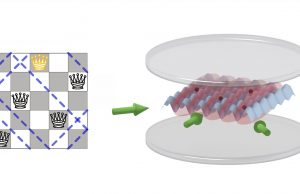 Solving problems on a quantum chessboard cropped Solving problems on a quantum chessboard