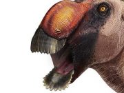 Strange new species of duck-billed dinosaur identified cropped Strange new species of duck billed dinosaur identified