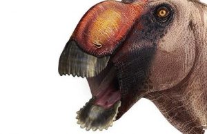Strange new species of duck-billed dinosaur identified cropped Strange new species of duck billed dinosaur identified