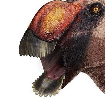 cropped Strange new species of duck billed dinosaur identified