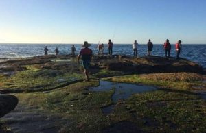 The ‘freak wave’ myth cropped The freak wave myth