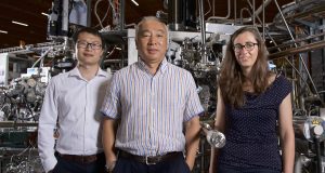 cropped Weyl fermions discovered in another class of materials