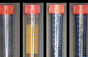Will your future computer be made using bacteria? cropped Will your future computer be made using bacteria