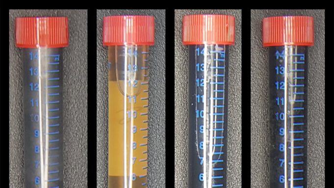 Will your future computer be made using bacteria? cropped Will your future computer be made using bacteria