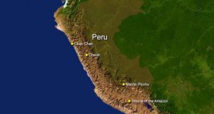 cropped Worlds smallest fossil monkey found in Amazon jungle