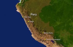 World’s smallest fossil monkey found in Amazon jungle cropped Worlds smallest fossil monkey found in Amazon jungle