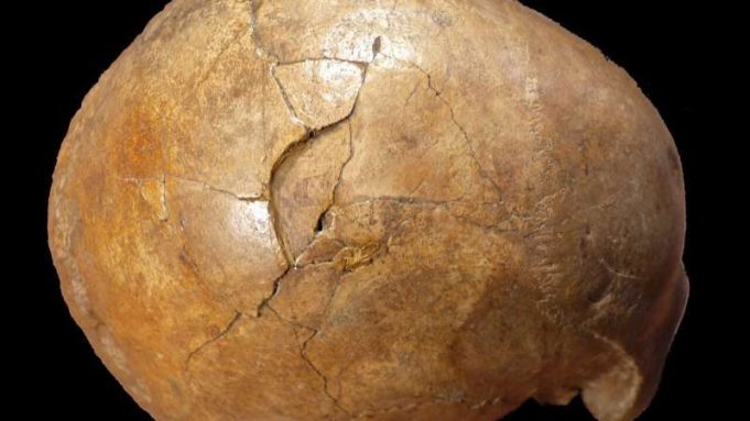 Murder in the Paleolithic? Evidence of violence behind human skull remains cropped murder