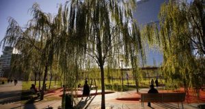 cropped trees