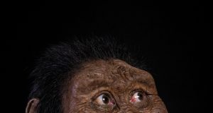 A 3.8 million year old fossil from Ethiopia reveals the face of Lucys ancestor