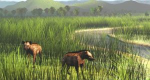 An Ice Age savannah corridor let large mammals spread across Southeast Asia