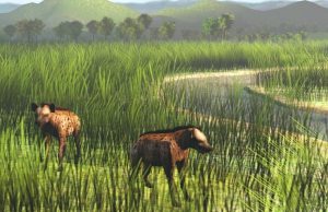 An Ice Age savannah corridor let large mammals spread across Southeast Asia An Ice Age savannah corridor let large mammals spread across Southeast Asia