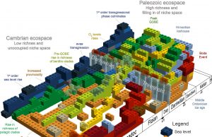 Early species developed much faster than previously thought, research shows Early species developed much faster than previously thought research shows