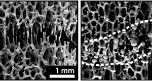 Engineers develop bone like metal foam that can be healed at room temperature