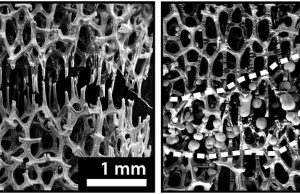 Engineers develop bone-like metal foam that can be ‘healed’ at room temperature Engineers develop bone like metal foam that can be healed at room temperature