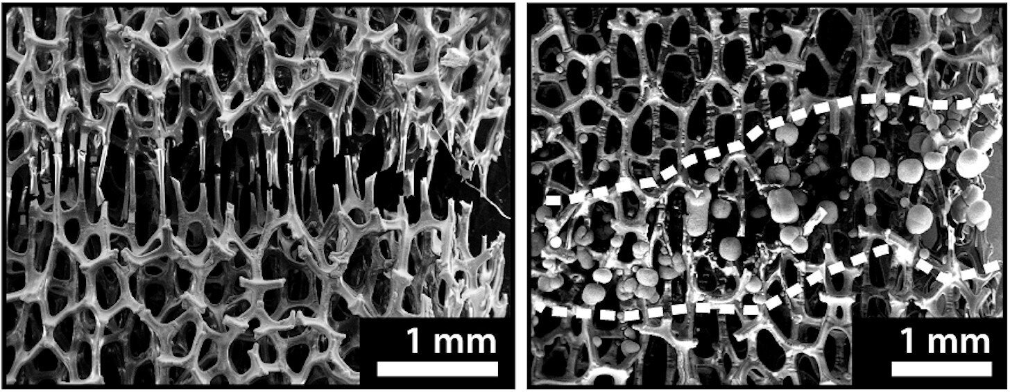Engineers develop bone like metal foam that can be healed at room temperature