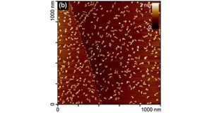 Graphene nanoflakes A new tool for precision medicine